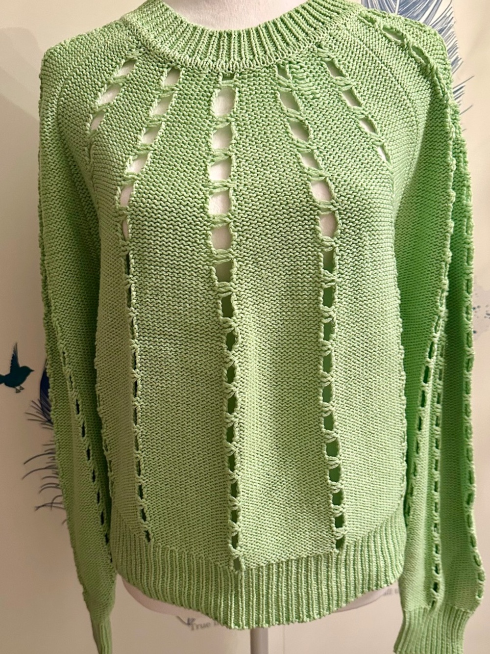 Joie Light Green Cotton Sweater